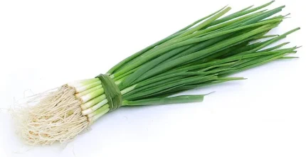 Կանաչ սոխ հատ