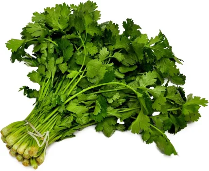 Համեմ հատ